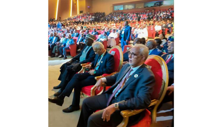ممثلا لرئيس الجمهورية.. وزير الشؤون الاقتصادية يشارك في احتفالية اليوم الإفريقي لعام 2026